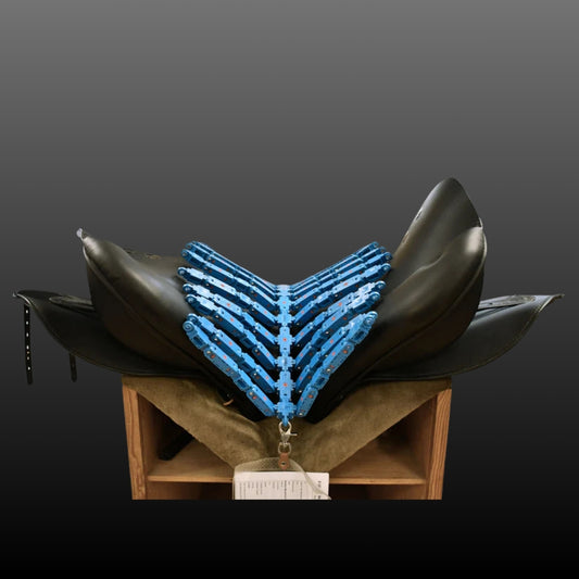 EQUIscan® + Saddle Assessment