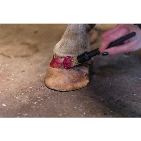 Excellent Horse Hi Gloss Glitter Hoof Polish Pink 150 ml