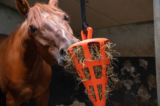 Hay Slow Feeder Fun & Flex Carrot - Orange