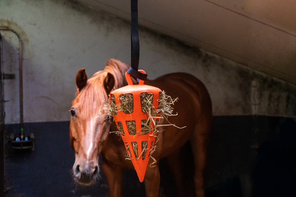 Hay Slow Feeder Fun & Flex Carrot - Orange