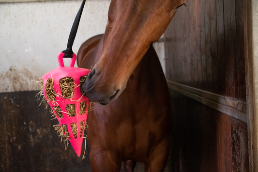 Hay Slow Feeder Fun & Flex Carrot - Pink