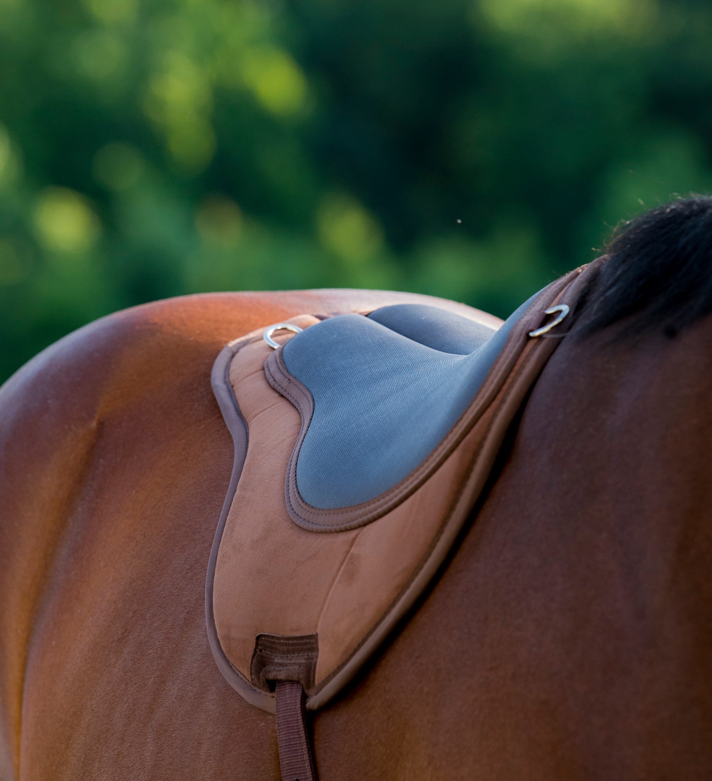 Comfort Bareback Pad With Girth - One Size
