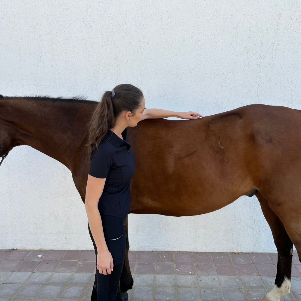 Saddle Assessment & Fitting