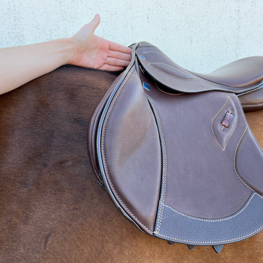 Saddle Assessment & Fitting