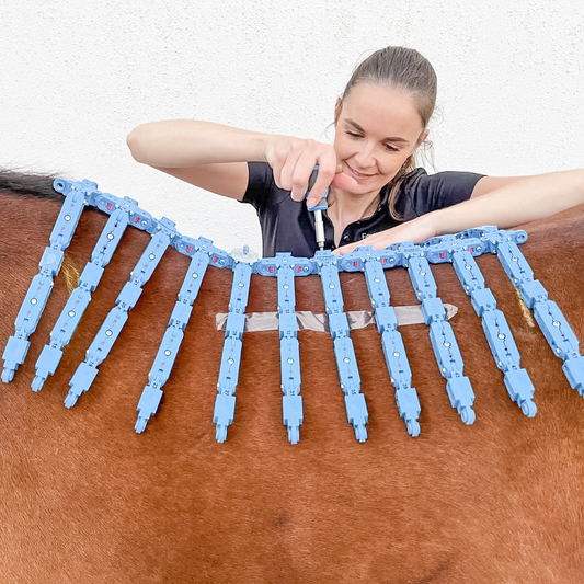 EQUIscan® + Saddle Assessment