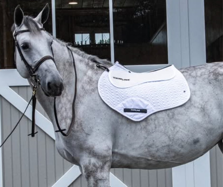 Saddle Pads