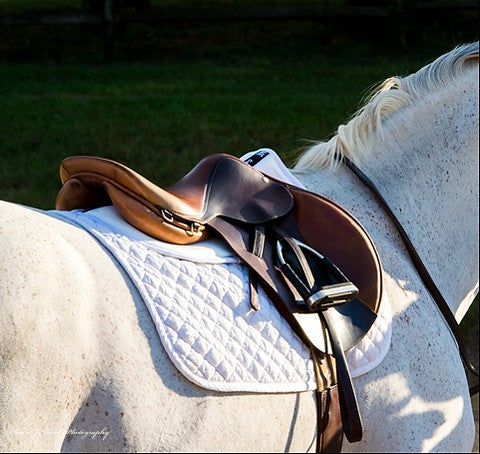 ThinLine Trifecta Cotton Comfort Half Pad