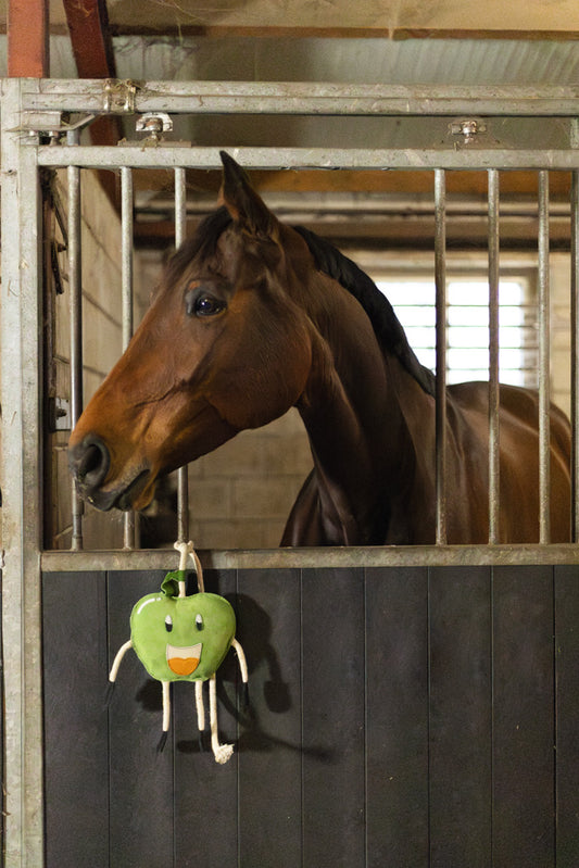 Foodie Friends Stable Toy – Apple