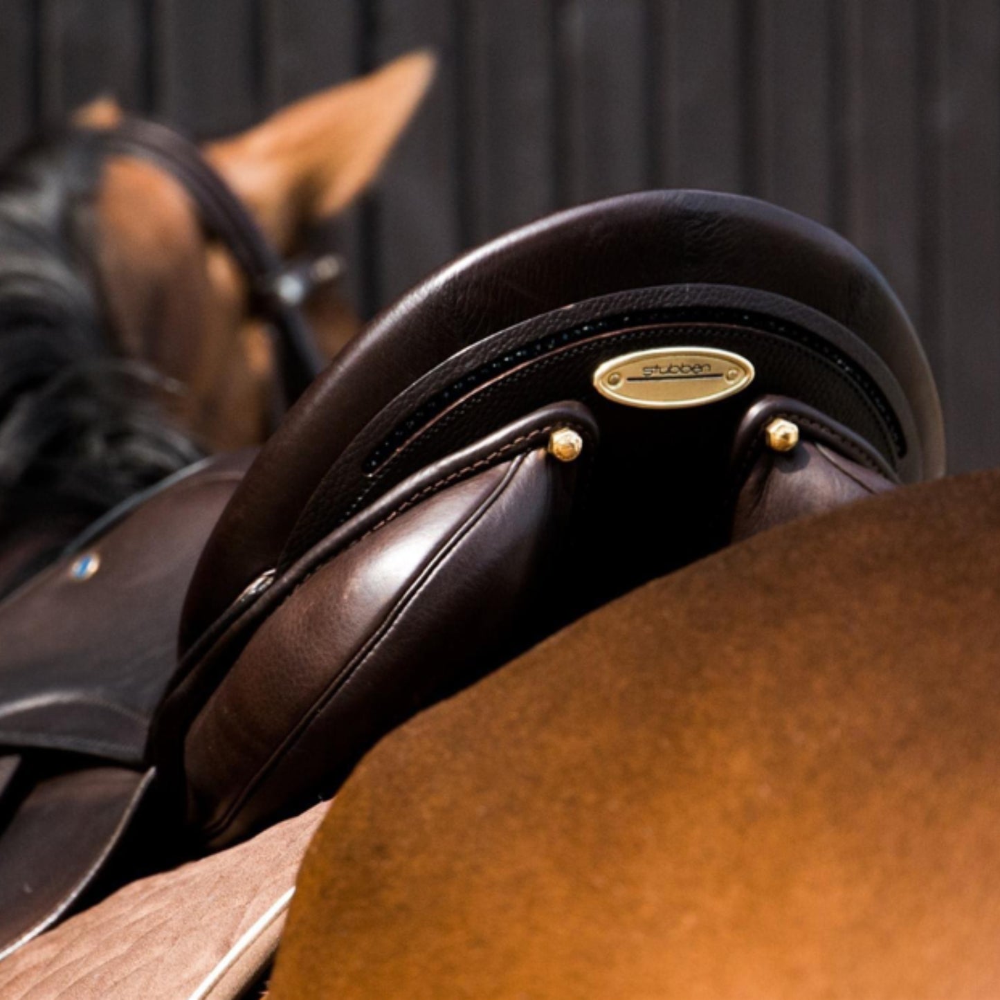 Stübben Genesis Dressage Saddle *Book Trial*