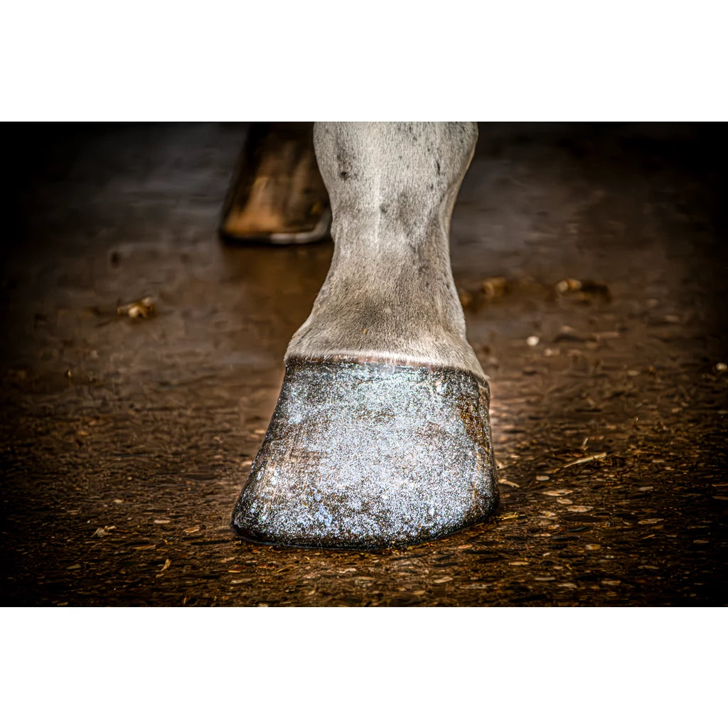Excellent Horse Hi Gloss Glitter Hoof Polish Silver 150 ml