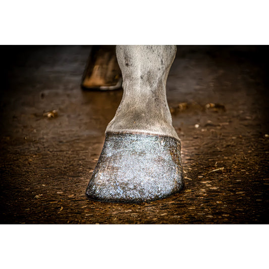 Excellent Horse Hi Gloss Glitter Hoof Polish Silver 150 ml