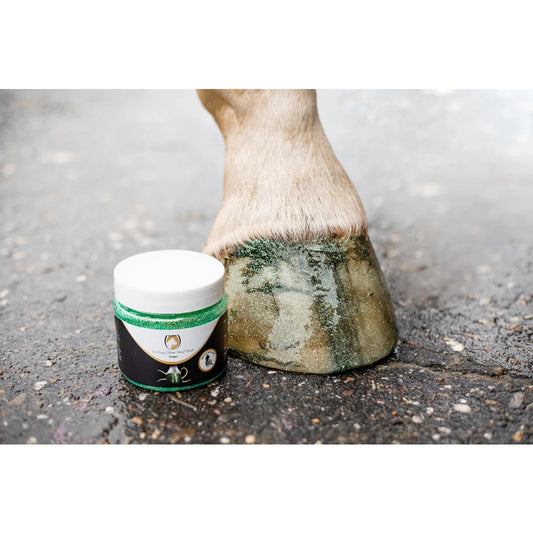 Excellent Horse Hi Gloss Glitter Hoof Polish Green 150 ml