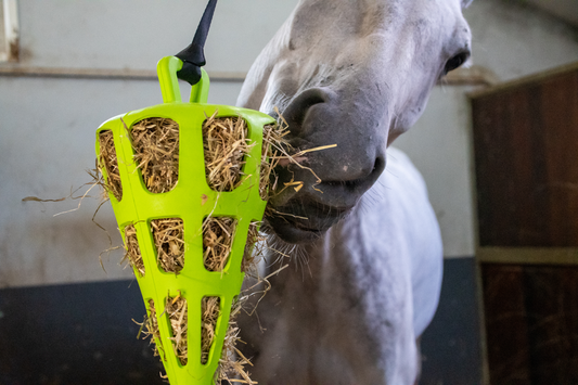 Hay Slow Feeder Fun & Flex Carrot - Green