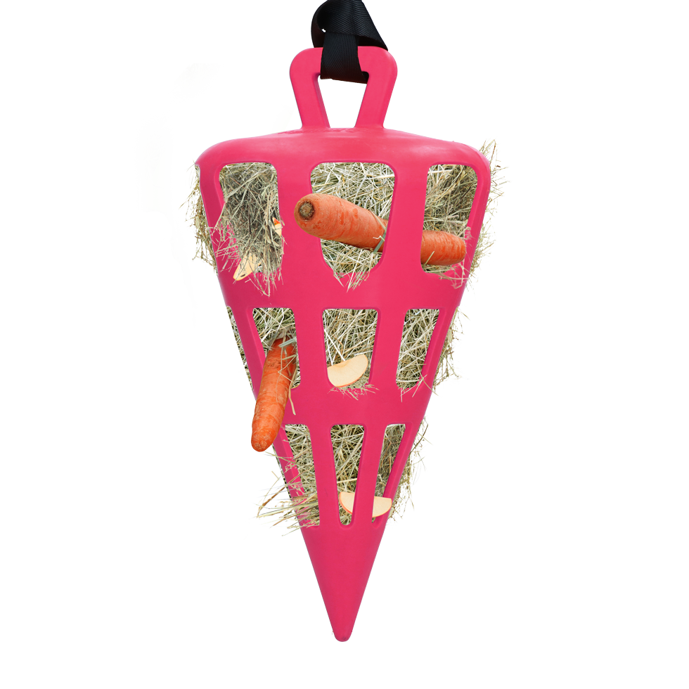 Hay Slow Feeder Fun & Flex Carrot - Pink