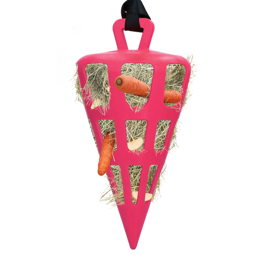 Hay Slow Feeder Fun & Flex Carrot - Pink