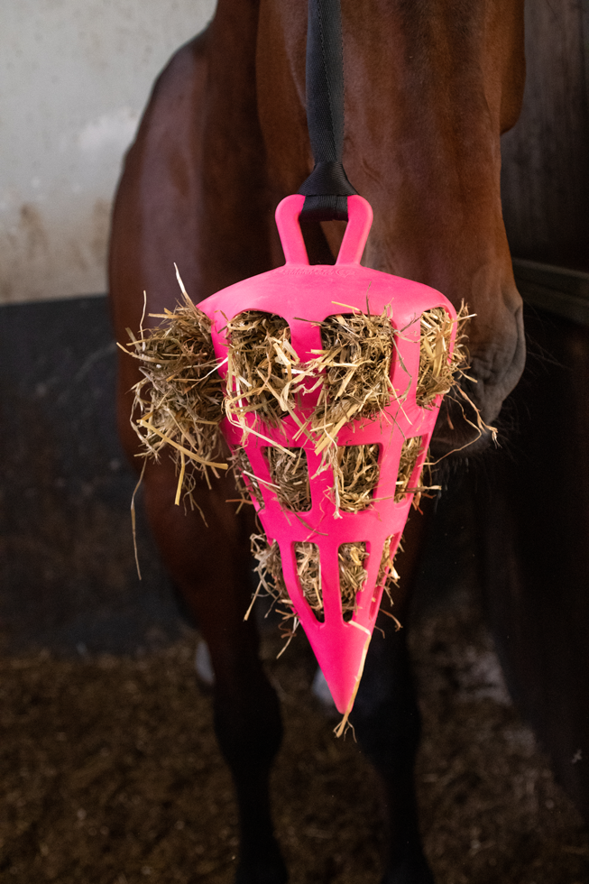 Hay Slow Feeder Fun & Flex Carrot - Pink