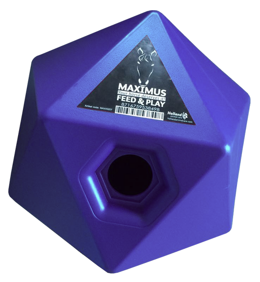 Feed and Play Cube - Blue