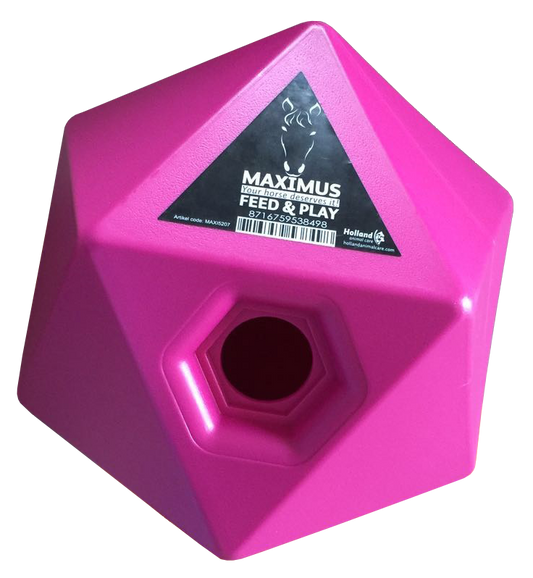 Feed and Play Cube - Pink