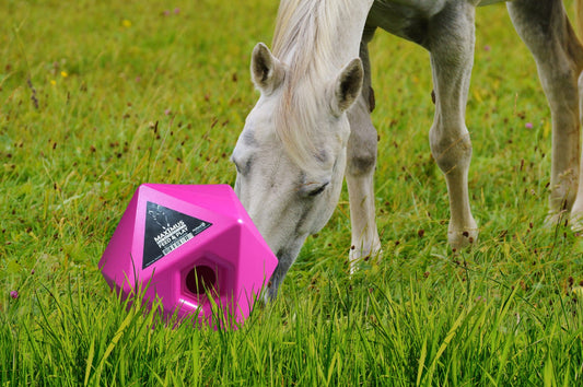Feed and Play Cube - Pink