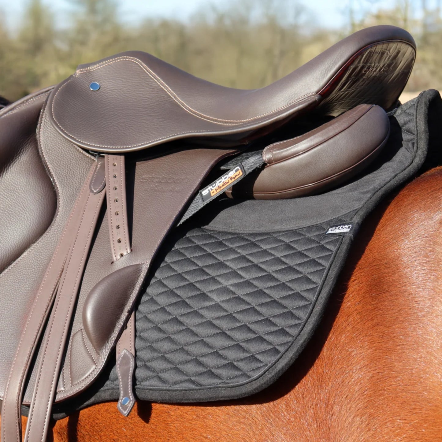 Stübben REVsport Saddle *Book Trial*