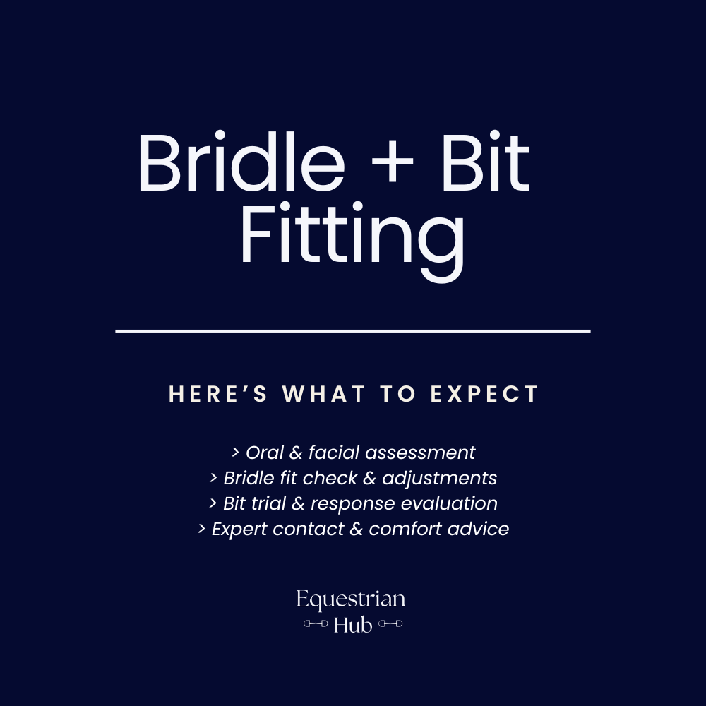 Bridle & Bit Fitting