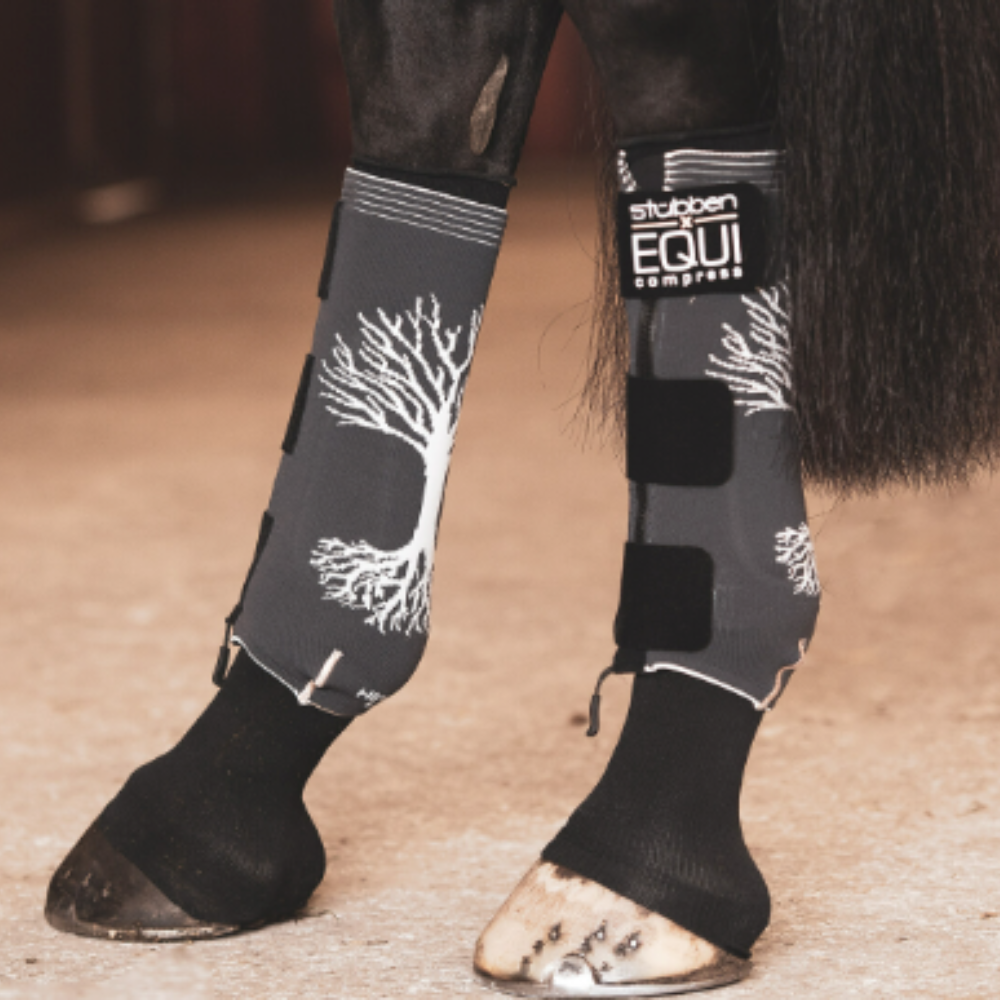 EQUI Compress Set Hind Legs