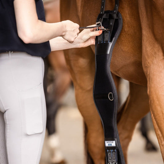 Neoprene Saddle Girth Coolmax Short with Elastic Ends